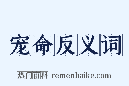 宠命反义词是什么意思的图片